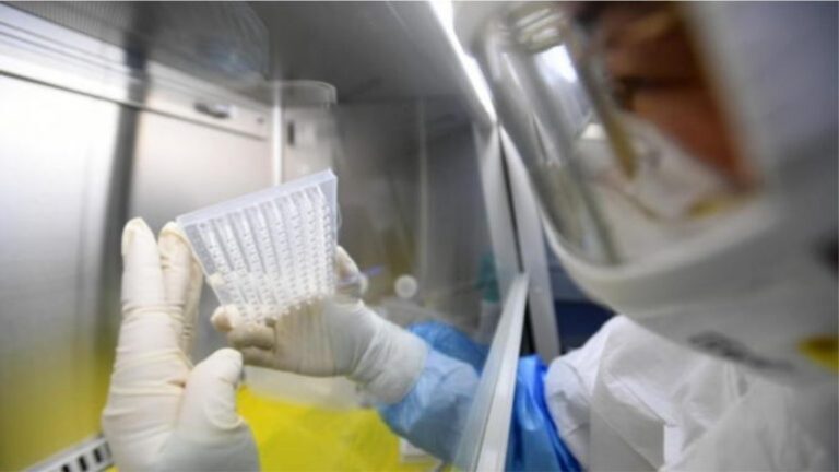 OBSH: Nuk përjashtohet mundësia që virusi të ketë dalë nga laboratori