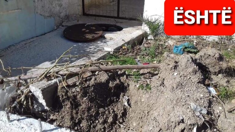 Barbarë apo të paaftë!