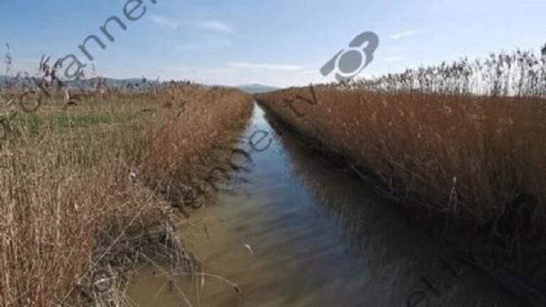 Divjakë, dhjetëra hektarë tokë në Tërbuf janë nën ujë