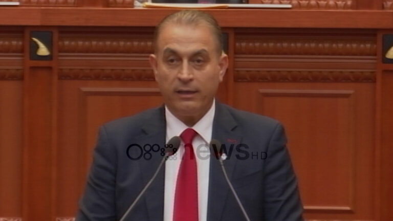 Stojku: Ndarja e fondeve e padrejtë, fushatë me para borxh