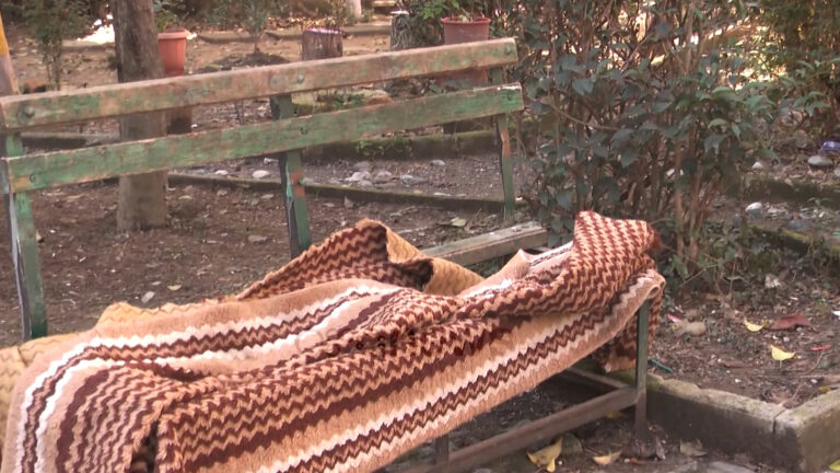 “Zhduken” parqet në Elbasan, hapësirat e gjelbra mes lagjeve kanë humbur funksionin