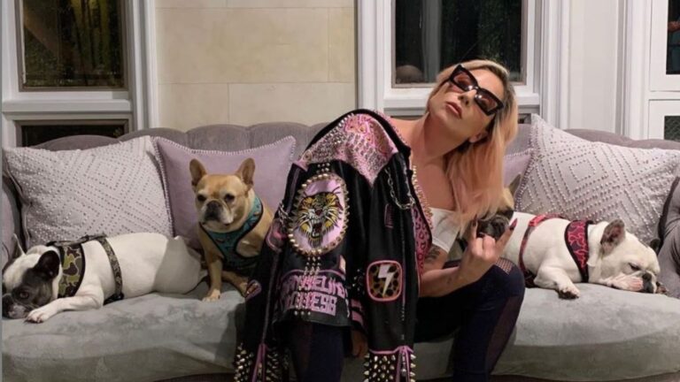 Lady Gagas i grabitin qentë dhe i qëllojnë me armë kujdestarin, ofron 500 mijë dollarë për t’i marrë mbrapsht