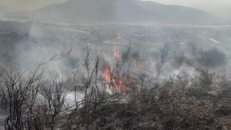 Ndez zjarr për të djegur plehrat por asfiksohet, humb jetën 69-vjeçari në Berat