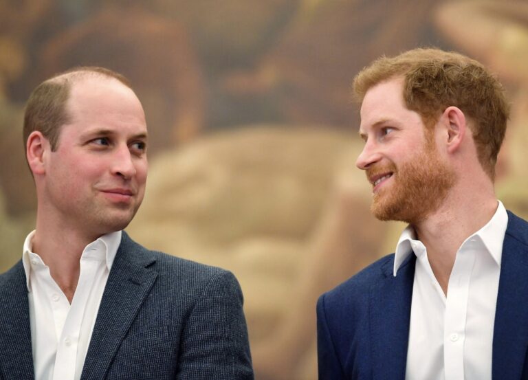 Si përfundim, a kanë ndërmend të pajtohen William dhe Harry?