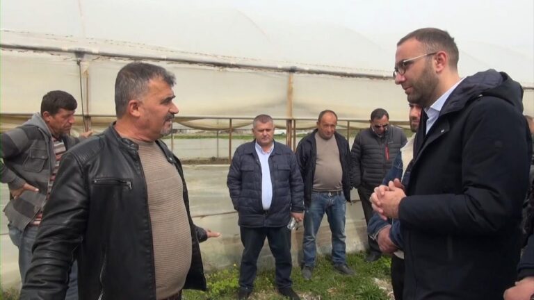 Bardhi takim në sera me fermerët e Elbasanit: Të bëhemi bashkë socialistë e demokratë për zgjidhje, ne kemi planin për subvencionim direkt