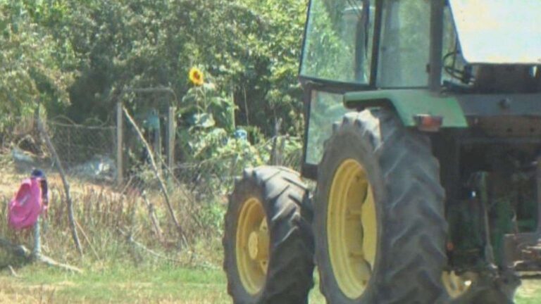 Babai përplas me zetor vajzën 3-vjeç në Fier