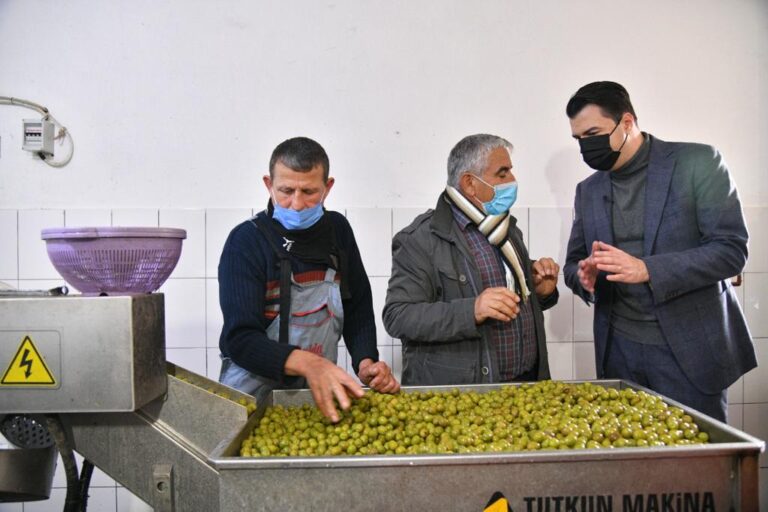 “Nuk i mungon asgjë ullirit tonë”, Basha në Berat: Do subvencionojmë fermerët që u lanë në harresë
