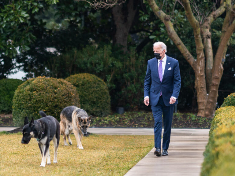 Qeni i Joe Biden kafshon punonjësin e Shtëpisë së Bardhë për herë të dytë