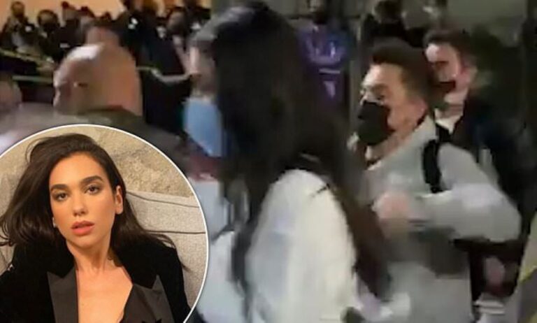 Dua Lipa sulmohet nga një fans, ja si reagon (VIDEO)