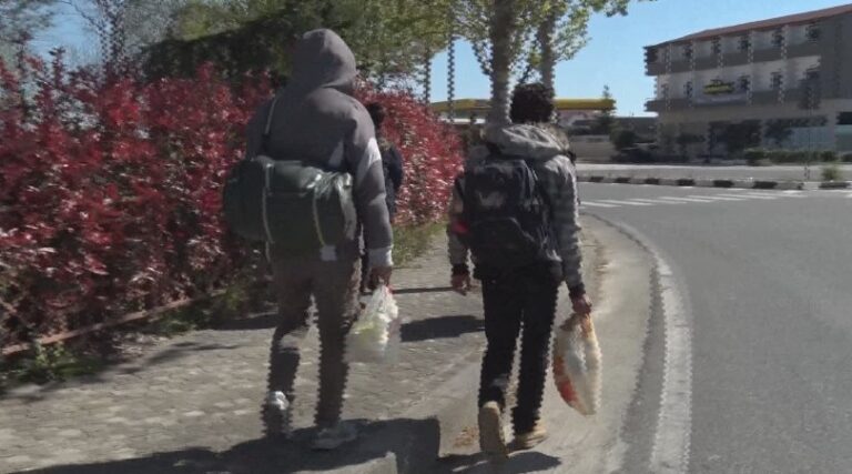 Klandestinë me furgona drejt Tiranës, goditen dy tentativa të transportit të emigrantëve me pagesë
