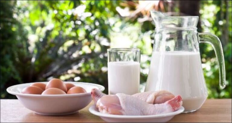 Marrja e tepërt e proteinave mund të shkaktojë kancer