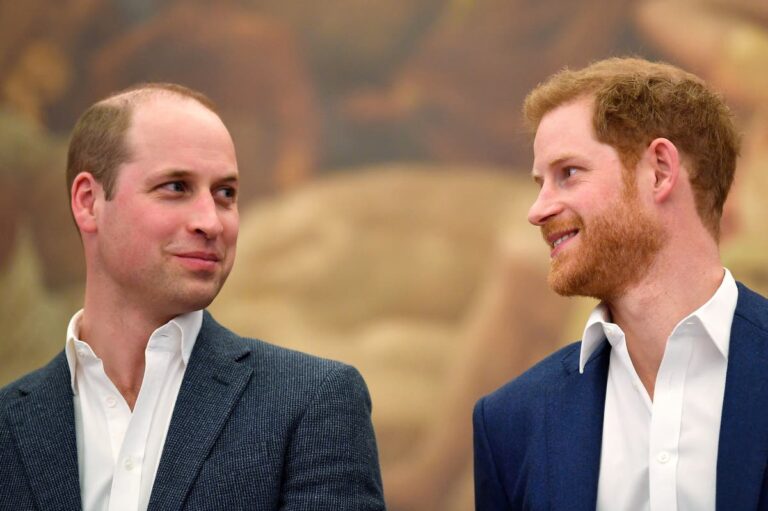 Princ William për ”intervistën e shekullit”: Harry vendosi famën para familjes