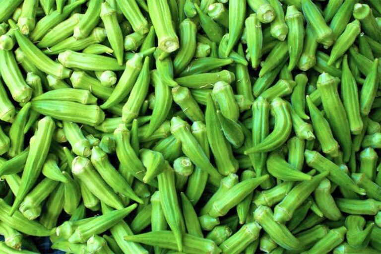 Mos e ndani nga dieta juaj ushqimore, kjo perime ka vlera të rralla për gjithë organizmin