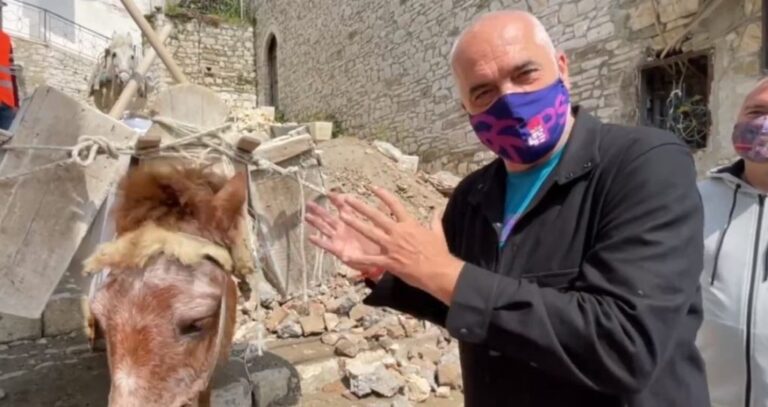 Rama shfaqet në krah të një gomari në Berat