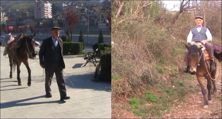 72 vjeçari ecën 10 km mbi kalë për të shitur qumësht në Librazhd