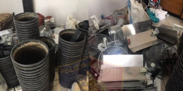 Po “ripyllëzonin” Krastën me kanabis, policia u prish planet tre të rinjve në Krujë
