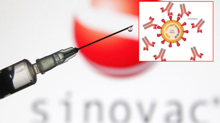 Si funksionon vaksina kineze “Sinovac”? Po përdoret edhe në Shqipëri
