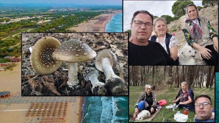 Vdekja e 3 familjarëve nga kërpudhat/ Trebicka: Disa e japin efektin pas disa ditësh, shkatërrojnë organet e të çojnë drejt vdekjes