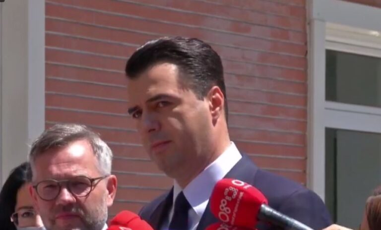 Takimi me ministrin gjerman për Europën, Basha: I kërkova të denoncojnë masakrën e 25 prillit
