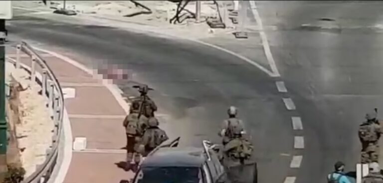 E vetme përballë ushtrisë izraelite, gruaja palestineze ekzekutohet barbarisht (VIDEO)