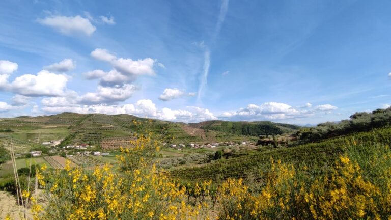 Plagosje me thikë në një lokal në Vlorë