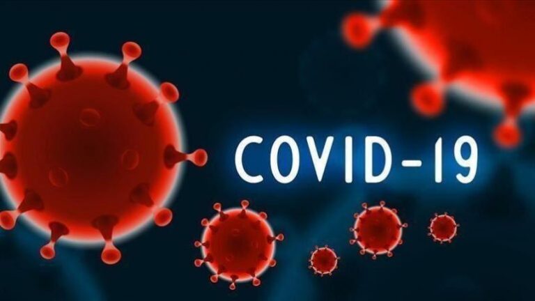Studimi: COVID-19 shkaktoi dëmtime të zemrës