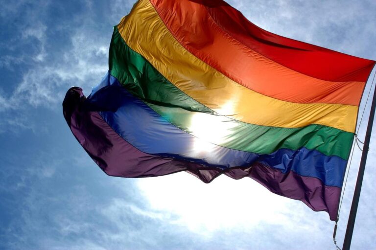 Ligjet për LGBT në Hungari, shkelin standardet ndërkombëtare