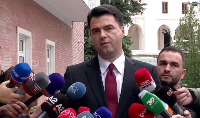 Senati amerikan në selinë e PD, Basha tregon 3 çështjet që u diskutuan gjatë takimit
