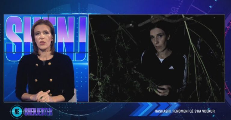 Gazetarja futet brenda parcelës së kanabisit: Është në proces tharjeje