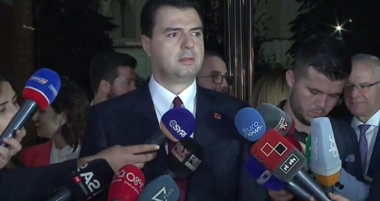Takimi me kongresmenët e SHBA, Basha: Autokratët e Ballkanit shkatërruan demokracinë