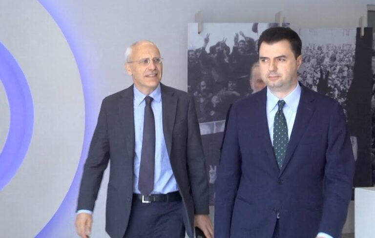 Basha pret ambasadorin gjerman, Zingraf: Folëm për insitucionet e partisë, korrupsionin e krimin