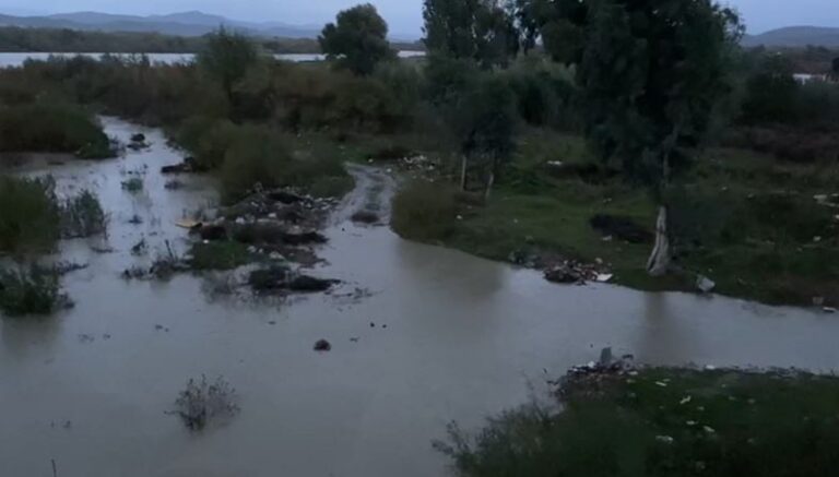 Lumi Vjosa del nga shtrati, kjo situatë mund të sjell përmbytje
