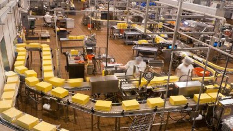 “Produktet vendase do të kushtojnë 30% më shumë”. Prodhuesit kundërshtojnë paketën e re fiskale