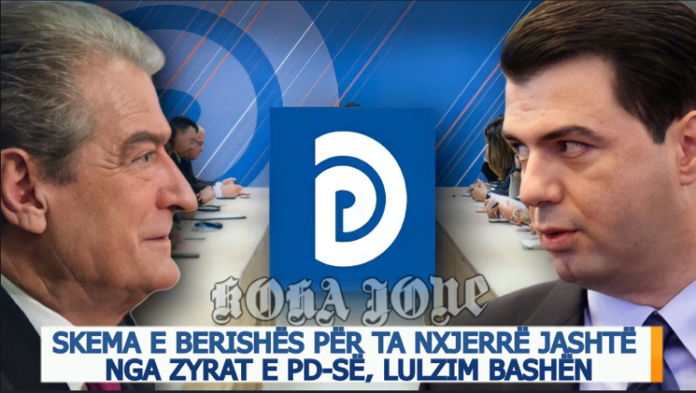 Skema e Berishës për ta nxjerrë jashtë nga zyrat e PD-së, Lulzim Bashën