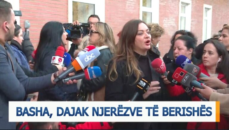 Lul Basha, dajak njerëzve të Berishës