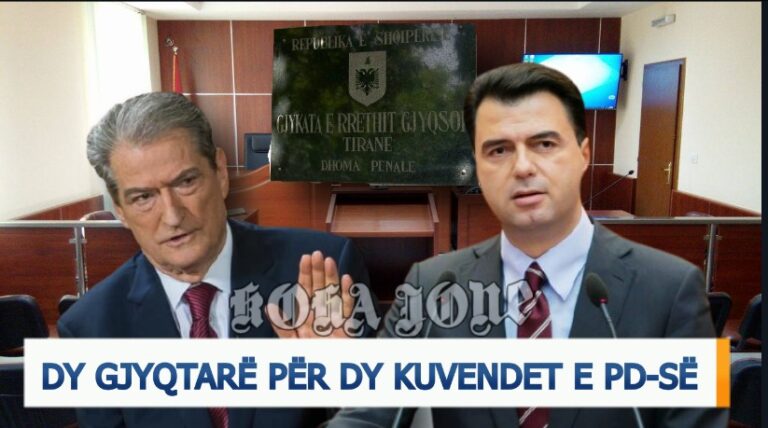 Dy gjyqtarë për dy Kuvendet e PD-së!