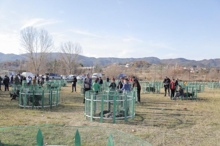 Tregu i gjelave në Baldushk, Veliaj ftesë qytetarëve: Të gjitha produktet bio i gjeni në Tiranë