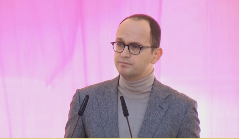 Vuçiç në Tiranë, Ditmir Bushati: Kryeministri serb imazhin e nd*tur të Beogradit