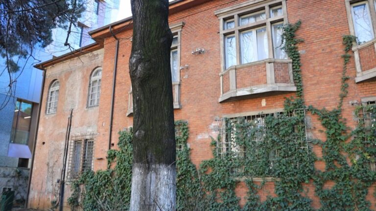 Drejtoresha e muzeut: 13 mijë vizitorë në “Shtëpinë me gjethe” për 2021. Të rinjtë kanë kureshtje