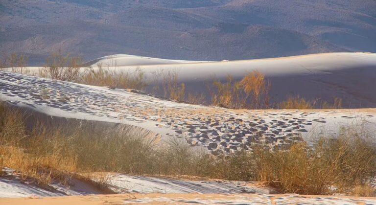Fenomeni i rrallë! Shkretëtira e Saharasë mbulohet nga dëbora (Foto)