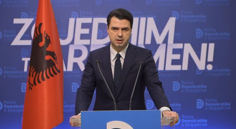 Basha fshin kundërshtarët nga Këshilli Kombëtar, mes tyre Berisha dhe Topalli