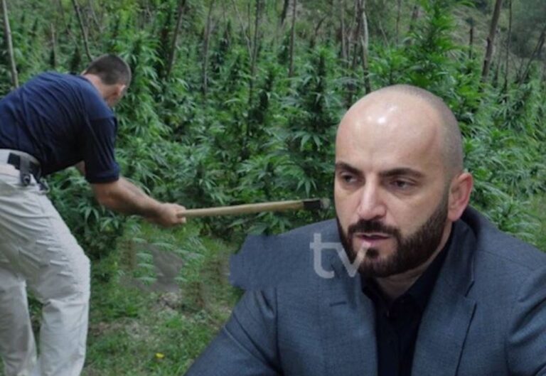 Urdhëri i Nanos, Polica nis aksionin kundër kultivimit të kanabisit