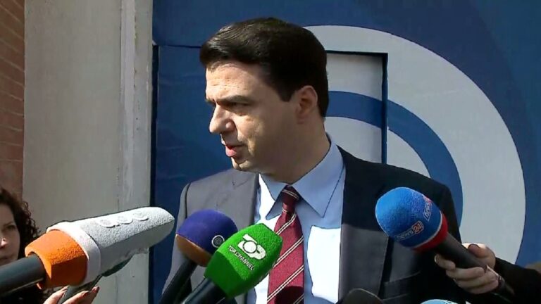 Lulzim Basha: Jam në dispozicion për gjithçka për hir të demokratëve