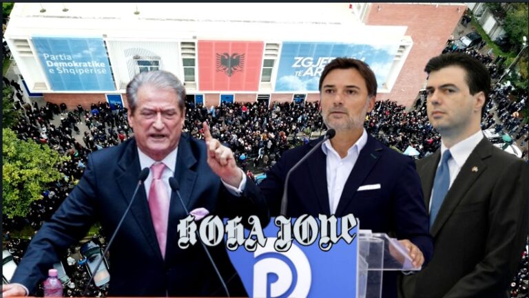 Sot PD-ja u nda përfundimisht