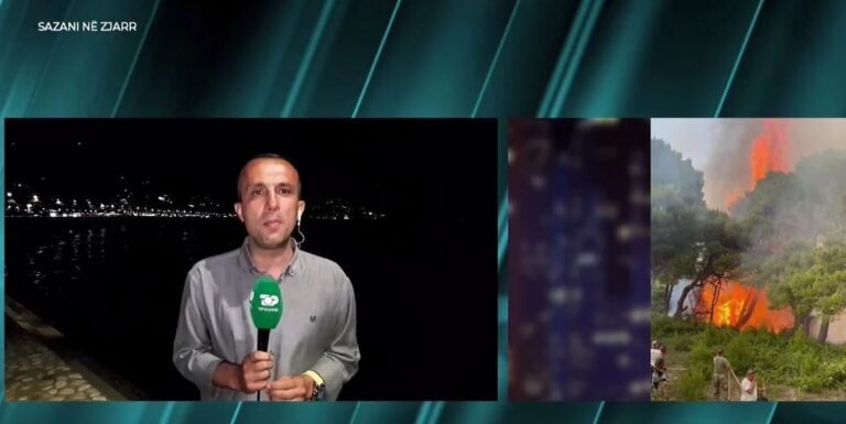 Zjarri në ishullin e Sazanit, gazetari Veliu: Efektivët kanë veç gjethe pemësh dhe lopata
