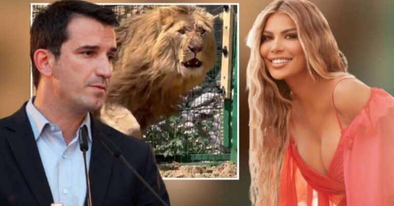 Veliaj publikon videon e luanit te Kopshtit Zoologjik, komenti epik i Luana Vjollcës: Po kërkon për mua më duket
