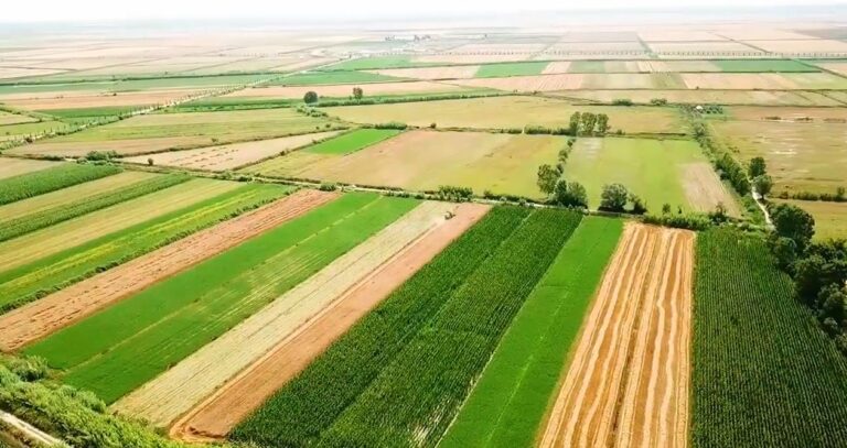 Nga Brukseli në Myzeqe, Rama: Shihni si duket fushat e qëndisura (VIDEO)