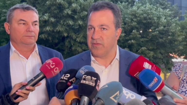 Niko Peleshi: Jemi vend i vogël, s’ia vlen të kemi avionin tonë për shuarjen e zjarreve