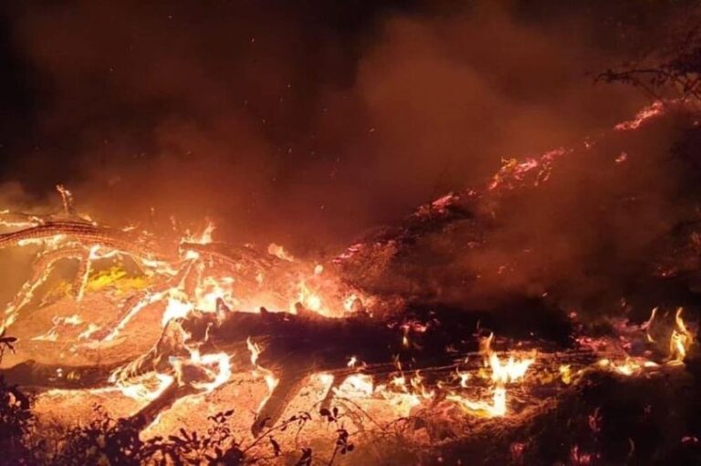 Ministria e Mbrojtjes: Efektivët kanë neutralizuar rreth 14 vatra zjarri në ishullin e Sazanit