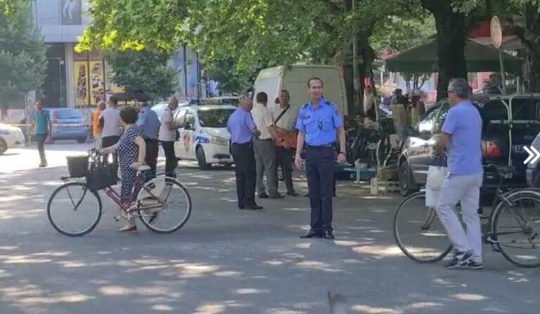 Arrestohen adoleshentët, 53 vjedhje në më shumë se 6 muaj